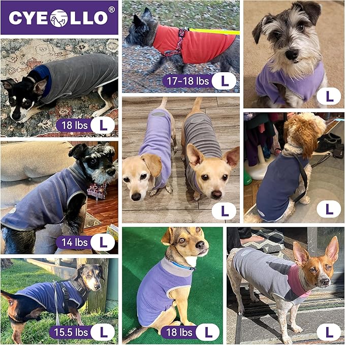 cyeollo 2 Pack Fleece Dog Sweaters for Small Dogs Reflective Doggie Vest Pullover Sweatshirt Stretchy Pet Jacket Small Dog Clothes Boy Coats Size L Green & Grey