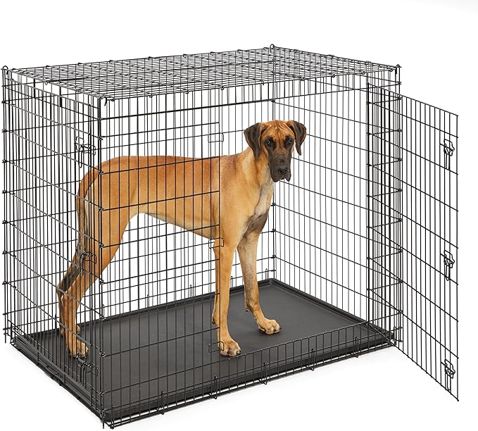MidWest Homes for Pets Solutions Series XXL Double Door 54-Inch Dog Crate for the Largest Breeds, Sturdy Drop Pin Assembly, Black E-Coated, SL54DD