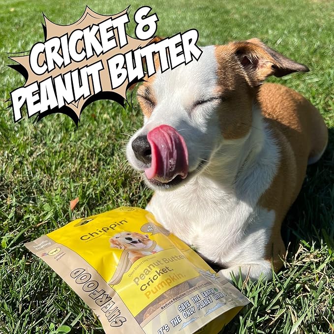 Peanut Butter Dog Treats, Healthy Puppy Treat, Pumpkin, Cricket, Gift for Pet Lovers, Natural Dog Snacks, Hypoallergenic, Gut-Healthy, Medium and Large Dogs, Sustainable Products