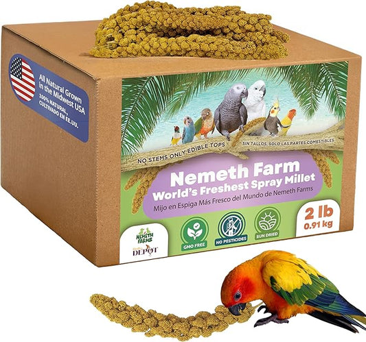 Nemeth Farms–Natural Sun Dried Millet Spray for Pet Birds–Bulk Parrot Seed Treats and Parrot Food–Natural Non GMO Millet Spray–Cockatiels Lovebirds Parakeet 2 lbs.
