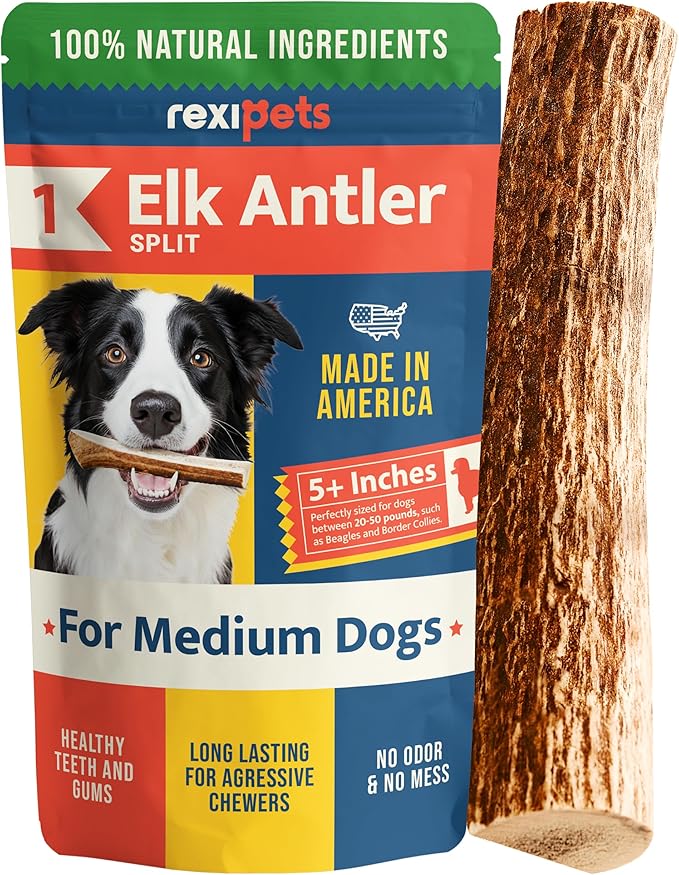 100% Natural - Elk Antlers for Dogs ( Split ) - Naturally Shed in USA - Dog Antler Chews Medium Breeds - Natural, Long-Lasting Treats for Aggressive Chewers - Dog Chews - No Smell & No Mess - Medium