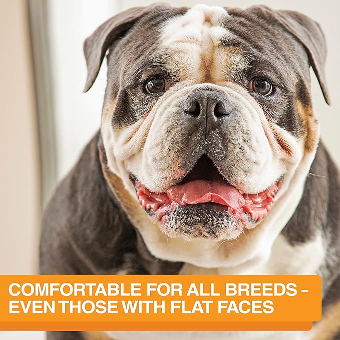 Neater Feeder Express Mess Proof Dog Bowls Elevated for Medium and Large Breed – Made in USA – No Spill Raised Slow Feeder Elevated Dog Bowl Stand, Slow Feed Food and Water Bowl Set, Cappuccino