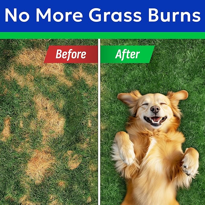 BARK&SPARK Green Grass Chews - Dog Pee Grass Spot Saver Caused by Dog Urine - Urine Neutralizer for Lawn, Gut Health Probiotics & Enzymes, Lawn Burn from Pee, Grass Burn Spot Chews Rocks