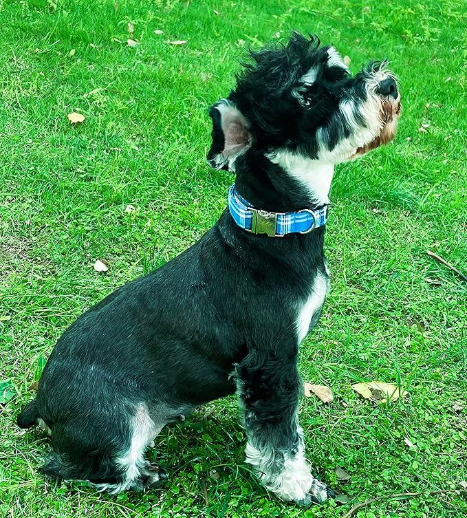 Unique Style Paws Metal Buckle Blue Plaid Collar - Durable & Cute for Small to Large Dogs