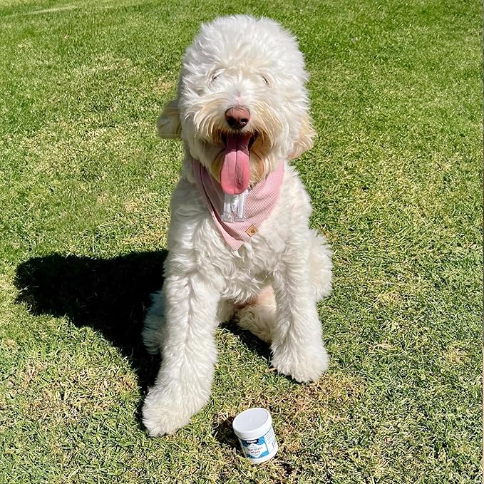 Petpost Tear Stain Remover Wipes for Dogs | 100 Count Gentle Eye Wipes with Juniper Berry & Coconut | Dog Face Wipes for Tear Stains & Eye Discharge | Soft Cotton Pads, Bleach Free