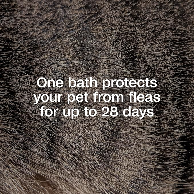 ADAMS Plus Flea & Tick Shampoo with Precor IGR for Cats, Kittens, Dogs & Puppies Over 12 Weeks Of Age, Sensitive Skin Flea Treatment, Kills Adult Fleas, Flea Eggs, Ticks, and Lice, 1 Gallon